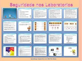 Aprendizaje Cooperativo en el IES Pino Manso
 