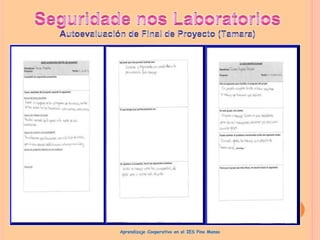 Aprendizaje Cooperativo en el IES Pino Manso
 