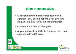 Bilan et perspectives
 Maintien du système de reproduction en 3 
agnelages en 2 ans qui répond à nos objectifs 
d’organisation du travail et de rémunération
 Construction d’une 3ème bergerie
 Augmentation de la taille du troupeau ovins pour 
atteindre 400 à 450 brebis
 