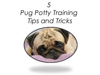 5
Pug Potty Training
Tips and Tricks
 