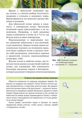 183
Зрение у обитателей почвенной сре-
ды плохое, а у многих вообще отсутствует,
например у слепыша и дождевого червя.
Ориентироваться им помогают органы обо-
няния и осязания.
Для обитателей почвы важны и влаж-
ность, и температура почвы. Организмы
почвенной среды приспособились к их из-
менениям. Например, в зной дождевые
черви углубляются в почву на 1–1,5 м, где
больше влаги и ниже температура.
Переувлажнение и пересыхание поч-
вы одинаково губительны и для растений,
и для животных. Однако человек может по-
ложительно повлиять на почвенную среду,
если будет удобрять почву и орошать посе-
вы либо насаждения, уничтожать сорняки
и вредителей, осушать переувлажнённые
почвы (рис. 144).
Изучая состав и свойства почвы, мы от-
мечали такое важное для растений свойство
почвы, как плодородие. Оно повышается
благодаря дождевым червям и бактериям,
которые разлагают отмершие остатки организмов.
Станьте исследователями природы
Обратите внимание на название дождевых червей. На-
верное, их недаром так назвали. После тёплого ночного до-
ждя присмотритесь к открытому участку почвы. Вы увидите
многочисленные норки и бугорки земли — результат жизне-
деятельности дождевых червей. Возможно, увидите и самих
червей. Среди учёных нет единого мнения о том, почему эти
животные во время дождя перемещаются ближе к поверх-
ности почвы и оказываются на поверхности. А что вы думае-
те по этому поводу?
После дождя сосчитайте норки и бугорки на одном
квадратном метре участка, чтобы узнать, сколько червей
«потрудились» на нём.
Рис. 144. Влияние человека
на почвенную среду:
а — орошение; б — осушение
б
а
Право для безоплатного розміщення підручника в мережі Інтернет має
Міністерство освіти і науки України http://mon.gov.ua/ та Інститут модернізації змісту освіти https://imzo.gov.ua
 