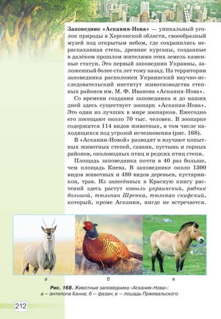 212
Заповедник «Аскания-Нова» — уникальный уго-
лок природы в Херсонской области, своеобразный
музей под открытым небом, где сохранились не-
распаханная степь, древние курганы, созданные
в далёком прошлом жителями этих земель камен-
ные статуи. Это первый заповедник Украины, за-
ложенный более ста лет тому назад. На территории
заповедника расположен Украинский научно-ис-
следовательский институт животноводства степ-
ных районов им. М. Ф. Иванова «Аскания-Нова».
Со времени создания заповедника и до наших
дней здесь существует зоопарк «Аскания-Нова».
Это один из лучших в мире зоопарков. Ежегодно
его посещают около 70 тыс. человек. В зоопарке
содержится 114 видов животных, в том числе на-
ходящихся под угрозой исчезновения (рис. 168).
В «Аскании-Новой» разводят и изучают копыт-
ных животных степей, саванн, пустынь и горных
районов, околоводных птиц и редких птиц степи.
Площадь заповедника почти в 40 раз больше,
чем площадь Киева. В заповеднике около 1300
видов животных и 480 видов деревьев, кустарни-
ков, трав. Из занесённых в Красную книгу рас-
тений здесь растут ковыль украинский, рябчик
большой, тюльпан Шренка, тюльпан скифский,
который, кроме Аскании, нигде не встречается.
Рис. 168. Животные заповедника «Аскания-Нова»:
а — антилопа Канна; б — фазан; в — лошадь Пржевальского
а б в
Право для безоплатного розміщення підручника в мережі Інтернет має
Міністерство освіти і науки України http://mon.gov.ua/ та Інститут модернізації змісту освіти https://imzo.gov.ua
 