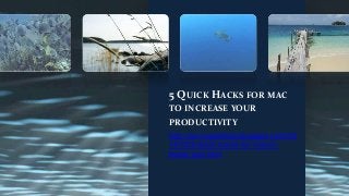 5 QUICK HACKS FOR MAC
TO INCREASE YOUR
PRODUCTIVITY
http://savvygeektips.blogspot.com/20
14/02/5-quick-hacks-for-mac-toboost-your.html

 