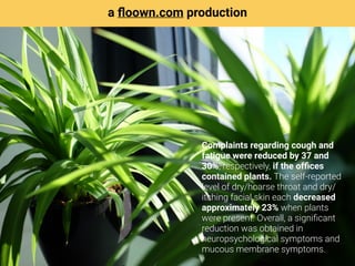 Complaints regarding cough and
fatigue were reduced by 37 and
30%, respectively, if the ofﬁces
contained plants. The self-reported
level of dry/hoarse throat and dry/
itching facial skin each decreased
approximately 23% when plants
were present. Overall, a signiﬁcant
reduction was obtained in
neuropsychological symptoms and
mucous membrane symptoms.
a ﬂoown.com production
 