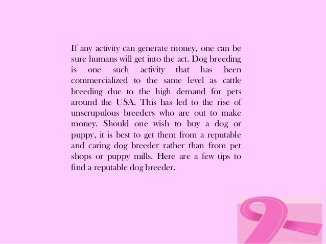 reputable sheepadoodle breeders