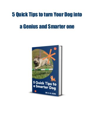 5 Quick Tips to turn Your Dog into
a Genius and Smarter one
 