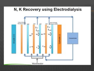 5 R- Reduce, Reuse, Recycle, Refuse, Recover | PPTX