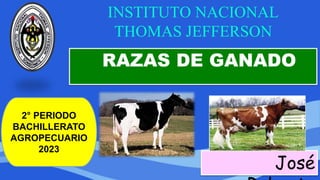 INSTITUTO NACIONAL
THOMAS JEFFERSON
RAZAS DE GANADO
José
2° PERIODO
BACHILLERATO
AGROPECUARIO
2023
 