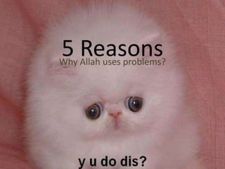 5 Reasons Why Allah uses problems? 