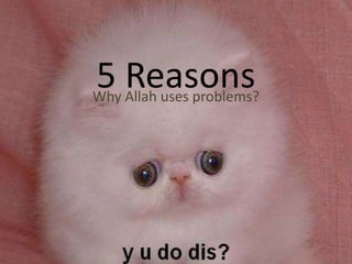 5 reasons why Allah gives problems PPTX