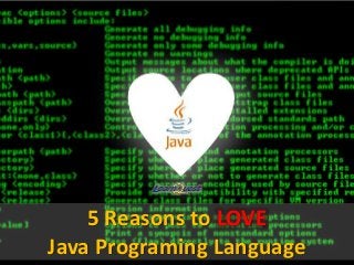 5 Reasons to LOVE 
Java Programing Language 
 
