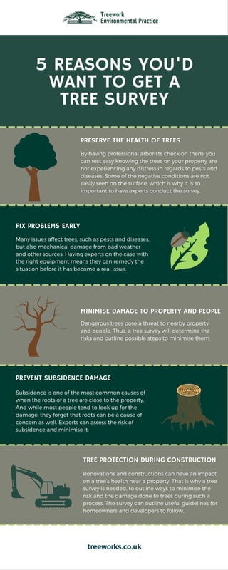 5 REASONS YOU'D
WANT TO GET A
TREE SURVEY
Renovations and constructions can have an impact
on a tree’s health near a property. That is why a tree
survey is needed, to outline ways to minimise the
risk and the damage done to trees during such a
process. The survey can outline useful guidelines for
homeowners and developers to follow.
By having professional arborists check on them, you
can rest easy knowing the trees on your property are
not experiencing any distress in regards to pests and
diseases. Some of the negative conditions are not
easily seen on the surface, which is why it is so
important to have experts conduct the survey.
Subsidence is one of the most common causes of
when the roots of a tree are close to the property.
And while most people tend to look up for the
damage, they forget that roots can be a cause of
concern as well. Experts can assess the risk of
subsidence and minimise it.
Many issues affect trees, such as pests and diseases,
but also mechanical damage from bad weather
and other sources. Having experts on the case with
the right equipment means they can remedy the
situation before it has become a real issue.
PRESERVE THE HEALTH OF TREES
FIX PROBLEMS EARLY
MINIMISE DAMAGE TO PROPERTY AND PEOPLE
Dangerous trees pose a threat to nearby property
and people. Thus, a tree survey will determine the
risks and outline possible steps to minimise them.
PREVENT SUBSIDENCE DAMAGE
TREE PROTECTION DURING CONSTRUCTION
treeworks.co.uk
treeworks.co.uk
treeworks.co.uk
 