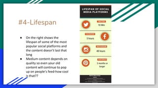 #4-Lifespan
●
●
 