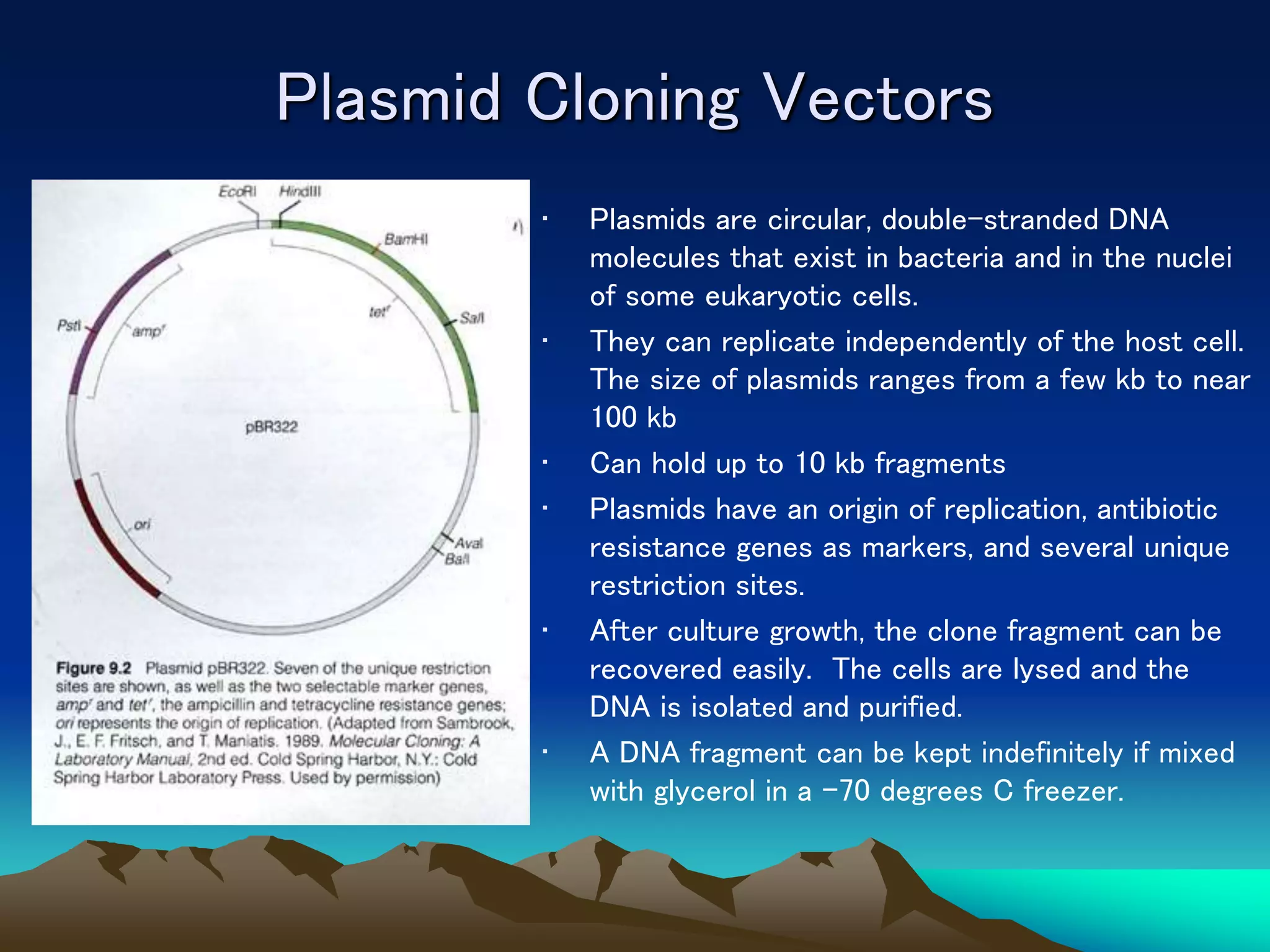 Plasmid Cloning Vectors
• Plasmids are circular, double-stranded DNA
molecules that exist in bacteria and in the nuclei
of some eukaryotic cells.
• They can replicate independently of the host cell.
The size of plasmids ranges from a few kb to near
100 kb
• Can hold up to 10 kb fragments
• Plasmids have an origin of replication, antibiotic
resistance genes as markers, and several unique
restriction sites.
• After culture growth, the clone fragment can be
recovered easily. The cells are lysed and the
DNA is isolated and purified.
• A DNA fragment can be kept indefinitely if mixed
with glycerol in a –70 degrees C freezer.
 