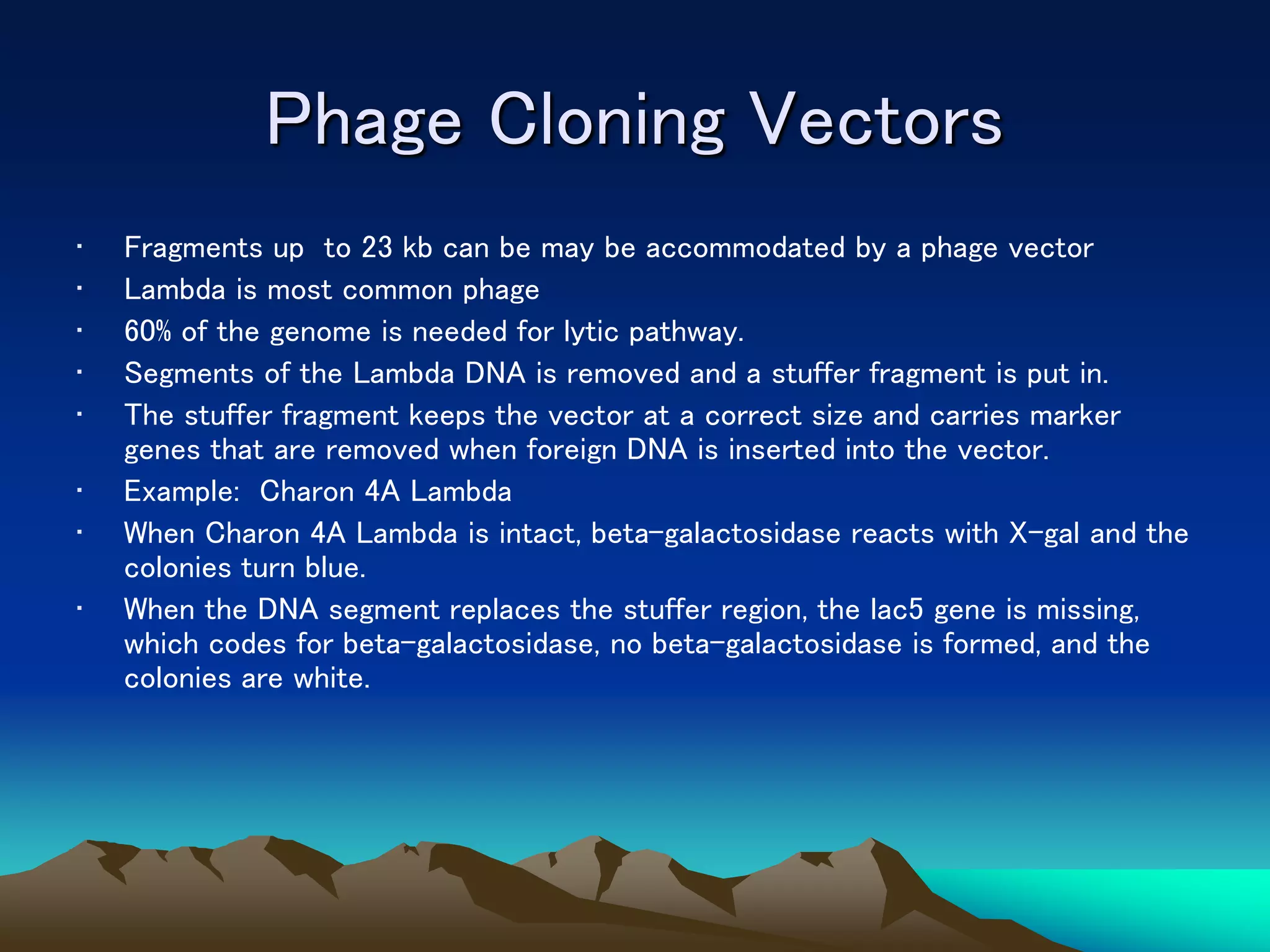 Phage Cloning Vectors
• Fragments up to 23 kb can be may be accommodated by a phage vector
• Lambda is most common phage
• 60% of the genome is needed for lytic pathway.
• Segments of the Lambda DNA is removed and a stuffer fragment is put in.
• The stuffer fragment keeps the vector at a correct size and carries marker
genes that are removed when foreign DNA is inserted into the vector.
• Example: Charon 4A Lambda
• When Charon 4A Lambda is intact, beta-galactosidase reacts with X-gal and the
colonies turn blue.
• When the DNA segment replaces the stuffer region, the lac5 gene is missing,
which codes for beta-galactosidase, no beta-galactosidase is formed, and the
colonies are white.
 