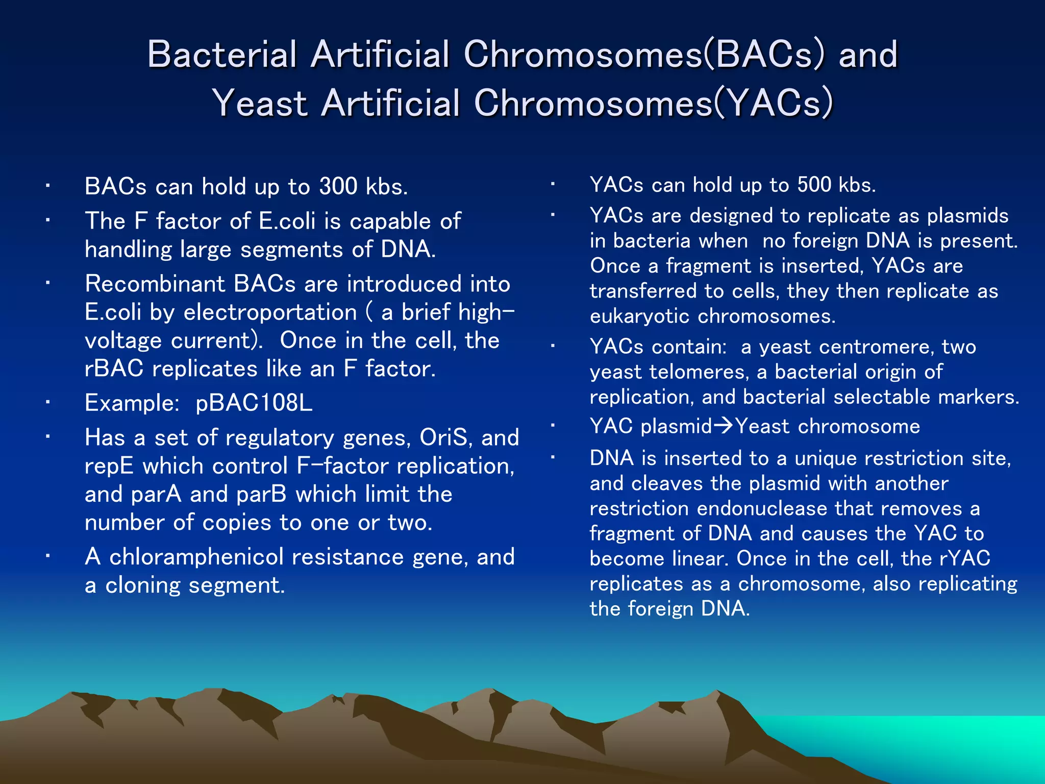 Bacterial Artificial Chromosomes(BACs) and
Yeast Artificial Chromosomes(YACs)
• BACs can hold up to 300 kbs.
• The F factor of E.coli is capable of
handling large segments of DNA.
• Recombinant BACs are introduced into
E.coli by electroportation ( a brief high-
voltage current). Once in the cell, the
rBAC replicates like an F factor.
• Example: pBAC108L
• Has a set of regulatory genes, OriS, and
repE which control F-factor replication,
and parA and parB which limit the
number of copies to one or two.
• A chloramphenicol resistance gene, and
a cloning segment.
• YACs can hold up to 500 kbs.
• YACs are designed to replicate as plasmids
in bacteria when no foreign DNA is present.
Once a fragment is inserted, YACs are
transferred to cells, they then replicate as
eukaryotic chromosomes.
• YACs contain: a yeast centromere, two
yeast telomeres, a bacterial origin of
replication, and bacterial selectable markers.
• YAC plasmidYeast chromosome
• DNA is inserted to a unique restriction site,
and cleaves the plasmid with another
restriction endonuclease that removes a
fragment of DNA and causes the YAC to
become linear. Once in the cell, the rYAC
replicates as a chromosome, also replicating
the foreign DNA.
 