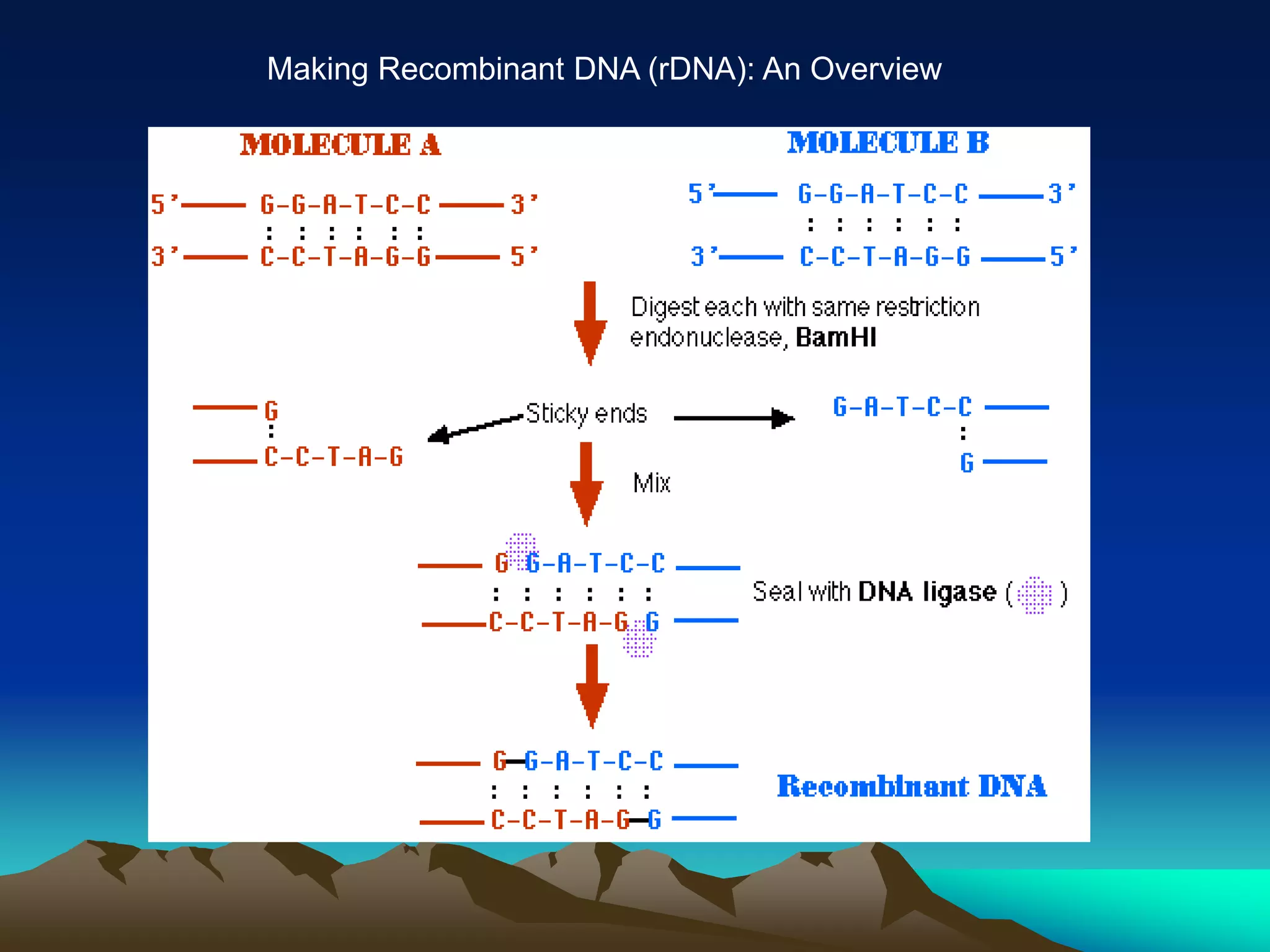 Making Recombinant DNA (rDNA): An Overview
 