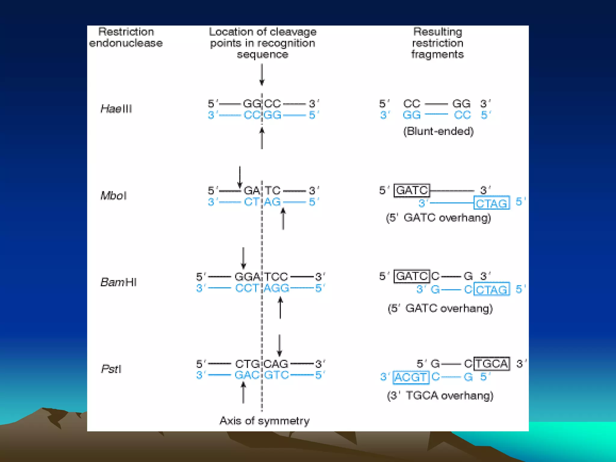5  Recombinant DNA Technology.ppt
