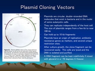 5 Recombinant DNA Technology.ppt