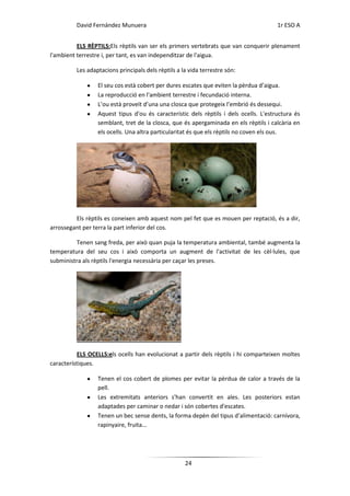 David Fernández Munuera                                                      1r ESO A


          ELS RÈPTILS:Els rèptils van ser els primers vertebrats que van conquerir plenament
l'ambient terrestre i, per tant, es van independitzar de l'aigua.

          Les adaptacions principals dels rèptils a la vida terrestre són:

                  El seu cos està cobert per dures escates que eviten la pèrdua d’aigua.
                  La reproducció en l'ambient terrestre i fecundació interna.
                  L’ou està proveït d’una una closca que protegeix l’embrió és dessequi.
                  Aquest tipus d'ou és característic dels rèptils i dels ocells. L'estructura és
                  semblant, tret de la closca, que és apergaminada en els rèptils i calcària en
                  els ocells. Una altra particularitat és que els rèptils no coven els ous.




         Els rèptils es coneixen amb aquest nom pel fet que es mouen per reptació, és a dir,
arrossegant per terra la part inferior del cos.

         Tenen sang freda, per això quan puja la temperatura ambiental, també augmenta la
temperatura del seu cos i això comporta un augment de l'activitat de les cèl·lules, que
subministra als rèptils l'energia necessària per caçar les preses.




          ELS OCELLS:els ocells han evolucionat a partir dels rèptils i hi comparteixen moltes
característiques.

                  Tenen el cos cobert de plomes per evitar la pèrdua de calor a través de la
                  pell.
                  Les extremitats anteriors s'han convertit en ales. Les posteriors estan
                  adaptades per caminar o nedar i són cobertes d'escates.
                  Tenen un bec sense dents, la forma depèn del tipus d’alimentació: carnívora,
                  rapinyaire, fruita...




                                                     24
 