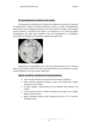 David Fernández Munuera                                                         1r ESO A




        Els arqueobacteris o bacteris més arcaics:
        Els arqueobacteris (Archaea) són un grup de microorganismes unicel·lulars. En general,
els arqueobacteris i bacteris són bastant semblants en forma i en mida. Els arqueobacteris
tolerants de la sal (els halobacteris) utilitzen la llum solar com font d'energia, i altres espècies
carboni; tanmateix, a diferència de les plantes i els cianobacteris, no es coneix cap espècie
d'arqueobacteri que sigui capaç d'ambdues coses. Els arqueobacteris es reprodueixen
asexualment i es divideixen per fissió binària, fragmentació o gemmació.




        Originalment, els arqueobacteris eren vists com extremòfils que vivien en ambients
severs, com ara aigües termals i llacs salats, però posteriorment se'ls ha observat en una gran
varietat d'hàbitats, com ara sòls, oceans i aiguamolls.

        Algues cianofícies cianobacteris:Característiques:
                Tenen una gran resistència a l'assecament sense danys al citoplasma.
                Poden acumular substàncies tòxiques, el que fa que tinguin pocs enemics
                naturals que se les mengin.
                Es poden adaptar a concentracions de sals fluctuants (per exemple a les
                salines).
                La seva capacitat de fixar el nitrogen atmosfèric fa que puguin viure en aigües
                pobres en certs nutrients.
                Alguns cianobacteris poden resistir temperatures de fins a 70 °C i colonitzar
                així aigües termals.




                                                      4
 