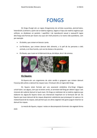 David Fernández Munuera                                                        1r ESO A




                                                FONGS
           Els fongs (Fungi) són un regne d'organismes de cel·lules eucariotes, pluricel·lulars,
heteròtrofs (s’aliment a partir de la matèria orgànica, Segons el tipus de matèria orgànica que
utilitzen, es divideixen en paràsits i sapròfits) i de reproducció sexual o asexual.El regne
dels fongs està format per éssers vius que són molt presents a la nostra vida quotidiana, com
per exemple:

         Els bolets, que creixen en boscos i prats.

         Les floridures, que creixen damunt dels aliments, a la pell de les persones o dels
         animals, o en llocs humits, com ara les dutxes o les piscines.

         Els llevats, que s'usen en la fabricació de pa, de dolços, de vi i de cervesa.




           Els líquens:
           Els líquens són uns organismes de color verdós o groguenc que creixen damunt
l'escorça dels arbres o damunt les roques nues. S'inclouen dins el regne dels fongs.

           Els líquens estan formats per una associació simbiòtica d'un fong i d'algues
unicel·lulars. Les algues, com que no tenen arrels, se serveixen del fong per obtenir aigua i sals
minerals del substrat damunt el qual viuen. Els fongs es nodreixen de la matèria orgànica que
elaboren les algues.Els líquens tenen una intervenció important en la formació del sòl. Els
líquens que viuen damunt de les roques desprenen substàncies que provoquen la ruptura o la
meteorització de les roques; això permet que uns altres vegetals més grans puguin instal·lar-se
damunt les roques.

           La mescla de líquens, roques i restes en descomposició d'animals i de vegetals forma
elsòl.




                                                        6
 