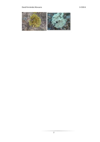 David Fernández Munuera       1r ESO A




                          7
 