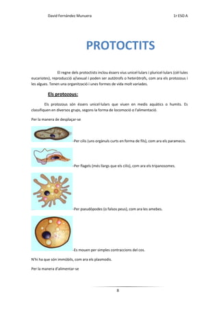 David Fernández Munuera                                                            1r ESO A




                                    PROTOCTITS
                El regne dels protoctists inclou éssers vius unicel·lulars i pluricel·lulars (cèl·lules
eucariotes), reproducció a/sexual i poden ser autòtrofs o heteròtrofs, com ara els protozous i
les algues. Tenen una organització i unes formes de vida molt variades.

          Els protozous:
         Els protozous són éssers unicel·lulars que viuen en medis aquàtics o humits. Es
classifiquen en diversos grups, segons la forma de locomoció o l'alimentació.

Per la manera de desplaçar-se




                           -Per cilis (uns orgànuls curts en forma de fils), com ara els paramecis.




                           -Per flagels (més llargs que els cilis), com ara els tripanosomes.




                           -Per pseudòpodes (o falsos peus), com ara les amebes.




                           -Es mouen per simples contraccions del cos.

N'hi ha que són immòbils, com ara els plasmodis.

Per la manera d'alimentar-se




                                                        8
 