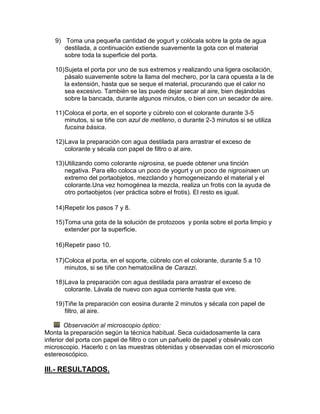9) Toma una pequeña cantidad de yogurt y colócala sobre la gota de agua
      destilada, a continuación extiende suavemente la gota con el material
      sobre toda la superficie del porta.

   10) Sujeta el porta por uno de sus extremos y realizando una ligera oscilación,
       pásalo suavemente sobre la llama del mechero, por la cara opuesta a la de
       la extensión, hasta que se seque el material, procurando que el calor no
       sea excesivo. También se las puede dejar secar al aire, bien dejándolas
       sobre la bancada, durante algunos minutos, o bien con un secador de aire.

   11) Coloca el porta, en el soporte y cúbrelo con el colorante durante 3-5
       minutos, si se tiñe con azul de metileno, o durante 2-3 minutos si se utiliza
       fucsina básica.

   12) Lava la preparación con agua destilada para arrastrar el exceso de
       colorante y sécala con papel de filtro o al aire.

   13) Utilizando como colorante nigrosina, se puede obtener una tinción
       negativa. Para ello coloca un poco de yogurt y un poco de nigrosinaen un
       extremo del portaobjetos, mezclando y homogeneizando el material y el
       colorante.Una vez homogénea la mezcla, realiza un frotis con la ayuda de
       otro portaobjetos (ver práctica sobre el frotis). El resto es igual.

   14) Repetir los pasos 7 y 8.

   15) Toma una gota de la solución de protozoos y ponla sobre el porta limpio y
       extender por la superficie.

   16) Repetir paso 10.

   17) Coloca el porta, en el soporte, cúbrelo con el colorante, durante 5 a 10
       minutos, si se tiñe con hematoxilina de Carazzi.

   18) Lava la preparación con agua destilada para arrastrar el exceso de
       colorante. Lávala de nuevo con agua corriente hasta que vire.

   19) Tiñe la preparación con eosina durante 2 minutos y sécala con papel de
       filtro, al aire.

        Observación al microscopio óptico:
Monta la preparación según la técnica habitual. Seca cuidadosamente la cara
inferior del porta con papel de filtro o con un pañuelo de papel y obsérvalo con
microscopio. Hacerlo c on las muestras obtenidas y observadas con el microscorio
estereoscópico.

III.- RESULTADOS.
 