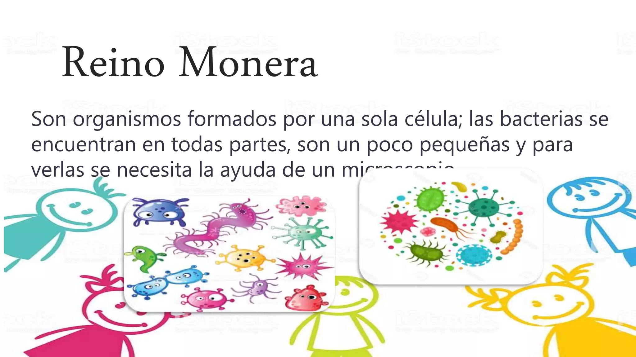 Reinos de la Naturaleza grado Tercero | PPTX