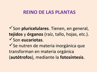 Son pluricelulares. Tienen, en general,
tejidos y órganos (raíz, tallo, hojas, etc.).
Son eucariotas.
Se nutren de materia inorgánica que
transforman en materia orgánica
(autótrofos), mediante la fotosíntesis.
REINO DE LAS PLANTAS
 