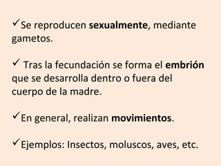 Se reproducen sexualmente, mediante
gametos.
 Tras la fecundación se forma el embrión
que se desarrolla dentro o fuera del
cuerpo de la madre.
En general, realizan movimientos.
Ejemplos: Insectos, moluscos, aves, etc.
 