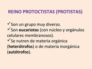 Son un grupo muy diverso.
Son eucariotas (con núcleo y orgánulos
celulares membranosos).
Se nutren de materia orgánica
(heterótrofos) o de materia inorgánica
(autótrofos).
REINO PROTOCTISTAS (PROTISTAS)
 