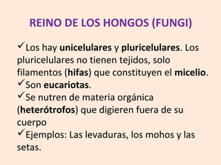 Los hay unicelulares y pluricelulares. Los
pluricelulares no tienen tejidos, solo
filamentos (hifas) que constituyen el micelio.
Son eucariotas.
Se nutren de materia orgánica
(heterótrofos) que digieren fuera de su
cuerpo
Ejemplos: Las levaduras, los mohos y las
setas.
REINO DE LOS HONGOS (FUNGI)
 