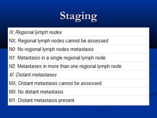 StagingStaging
 