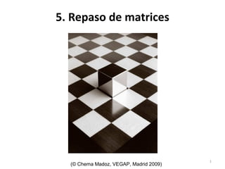 5. Repaso de matrices




                                        1
  (© Chema Madoz, VEGAP, Madrid 2009)
 
