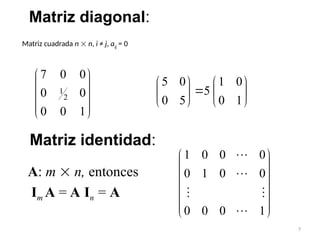 Repaso_de_Matrices Metodos y Operaciones.ppt