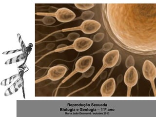 Reprodução Sexuada
Biologia e Geologia – 11º ano
Maria João Drumond / outubro 2013

 