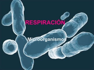 RESPIRACIÓN
Microorganismos
 