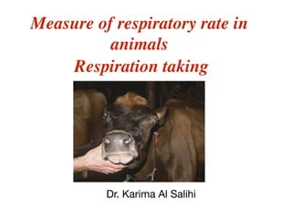Measure of respiratory rate in
animals
Respiration taking
Dr. Karima Al Salihi
 
