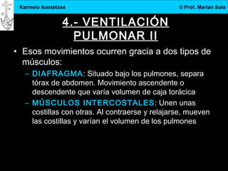 3.DBH
13
Karmelo Ikastetxea © Prof. Marian Sola
4.- VENTILACIÓN
PULMONAR II
• Esos movimientos ocurren gracia a dos tipos de
músculos:
– DIAFRAGMA: Situado bajo los pulmones, separa
tórax de abdomen. Movimiento ascendente o
descendente que varía volumen de caja torácica
– MÚSCULOS INTERCOSTALES: Unen unas
costillas con otras. Al contraerse y relajarse, mueven
las costillas y varían el volumen de los pulmones
 