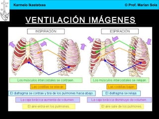 3.DBH
14
Karmelo Ikastetxea © Prof. Marian Sola
VENTILACIÓN IMÁGENES
 