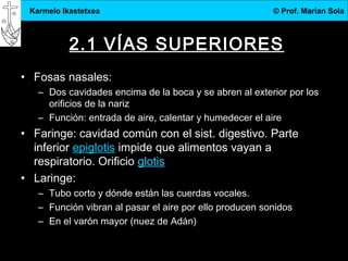 3.DBH
4
Karmelo Ikastetxea © Prof. Marian Sola
2.1 VÍAS SUPERIORES
• Fosas nasales:
– Dos cavidades encima de la boca y se abren al exterior por los
orificios de la nariz
– Función: entrada de aire, calentar y humedecer el aire
• Faringe: cavidad común con el sist. digestivo. Parte
inferior epiglotis impide que alimentos vayan a
respiratorio. Orificio glotis
• Laringe:
– Tubo corto y dónde están las cuerdas vocales.
– Función vibran al pasar el aire por ello producen sonidos
– En el varón mayor (nuez de Adán)
 
