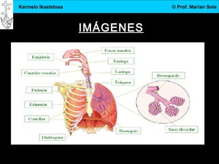 3.DBH
5
Karmelo Ikastetxea © Prof. Marian Sola
IMÁGENES
 