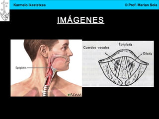 3.DBH
7
Karmelo Ikastetxea © Prof. Marian Sola
IMÁGENES
 