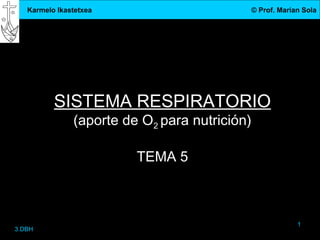 Karmelo Ikastetxea                          © Prof. Marian Sola




          SISTEMA RESPIRATORIO
               (aporte de O2 para nutrición)

                         TEMA 5



                                                            1
3.DBH
 