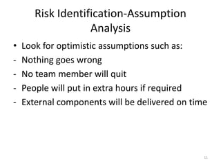 software project management risk control.pptx