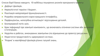 Список Барії Боема наводить 10 найбільш поширених ризиків програмного проекту:
 Дефіцит фахівців.
 Нереалістичні терміни і бюджет.
 Реалізація невідповідної функціональності.
 Розробка неправильного користувацького інтерфейсу.
 Перфекціонізм, непотрібна оптимізація і відточування деталей.
 Безперервний потік змін.
 Брак інформації про зовнішні компоненти, що визначають оточення системи або залучених
в інтеграцію.
 Недоліки в роботах, виконуваних зовнішніми (по відношенню до проекту) ресурсами.
 Недостатня продуктивність одержуваної системи.
 "Розрив" в кваліфікації фахівців різних галузей знань.
 