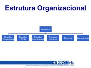 Estrutura Organizacional 