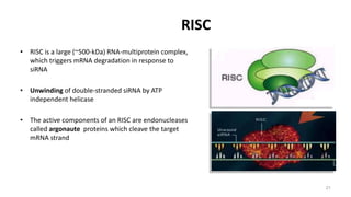 Dna Risc RNA interference | PPTX